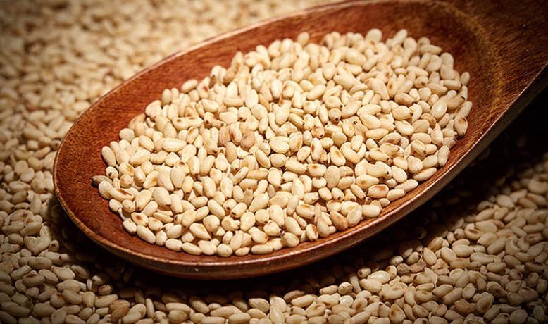 醇香白芝麻 大粒芝麻 生芝麻 熟芝麻 现货白芝麻厂家直销