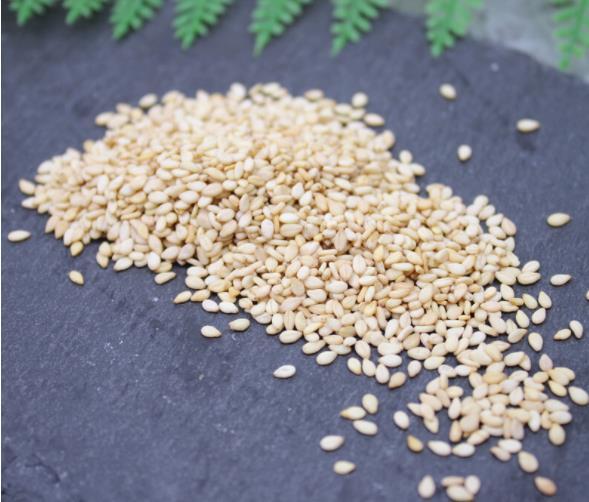 熟白芝麻 河南本地优质芝麻高钙干净无沙烘焙烧烤白芝麻