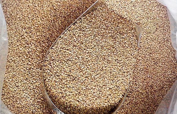 农家熟白芝麻粒 即食调料 冰粉芝麻 凉拌菜西点装饰芝麻