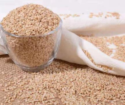 本地特色白芝麻 2022当年新芝麻 口感好 色正 价格低