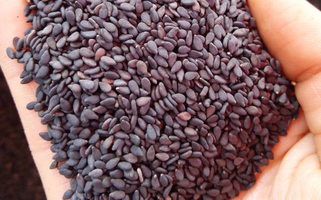 黑芝麻怎么吃最健康 黑芝麻可以做哪些好吃的糕点