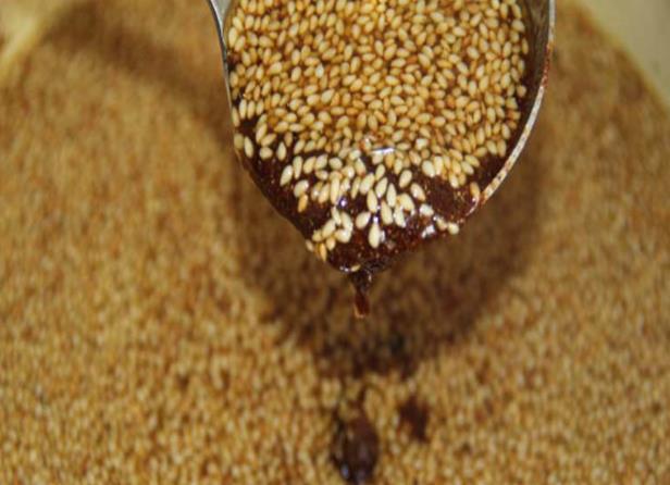 可接急单 烹饪甜点原料 冲调饮品白芝麻粉原材料 厂家低价批发