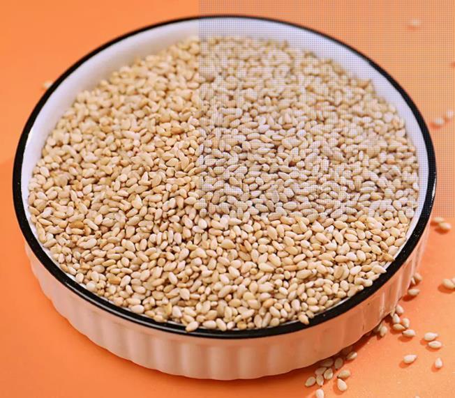 非转基因熟白芝麻 有机芝麻品种 人工炒制熟芝麻粒