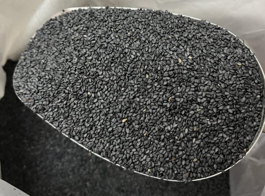 新下来的黑芝麻 炒香芝麻粒 高性价比农家黑芝麻