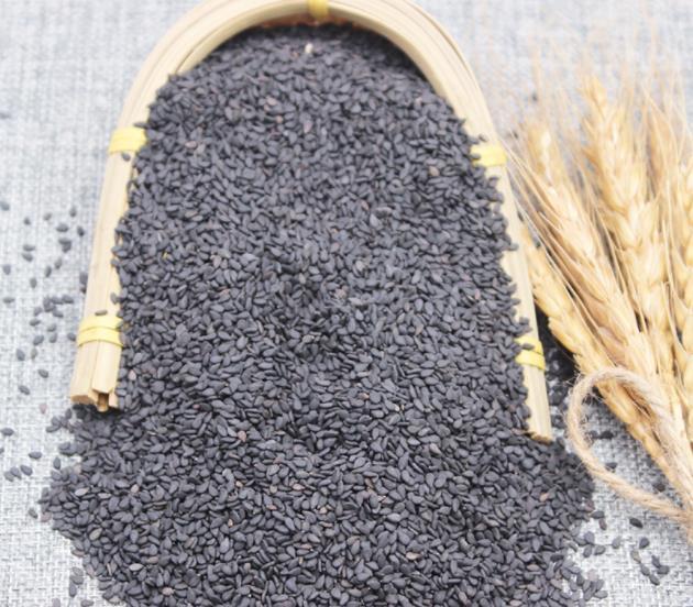 一站式采购黑芝麻 白芝麻 食材本真 原味芝麻粒 工厂定制