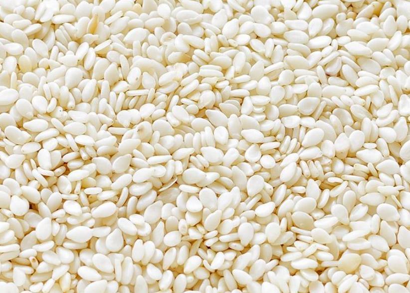 应急新货调味品 本色无硫 去壳白芝麻粒 特级品质白芝麻