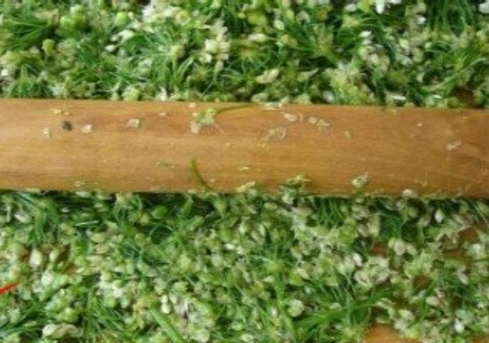 一料多用 蘸食好搭档 源头厂家直营韭花酱 件件都是出厂价