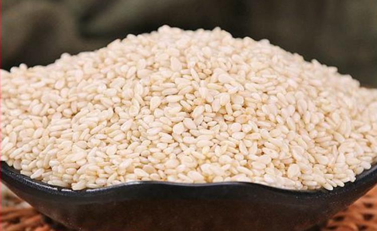 餐饮直供大粒白芝麻 烤肉蘸料芝麻 常年专供烧烤店