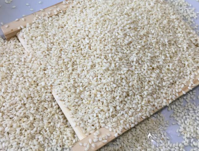 无盐白芝麻 精选当季新产白芝麻 人工筛选 色泽好 口感好