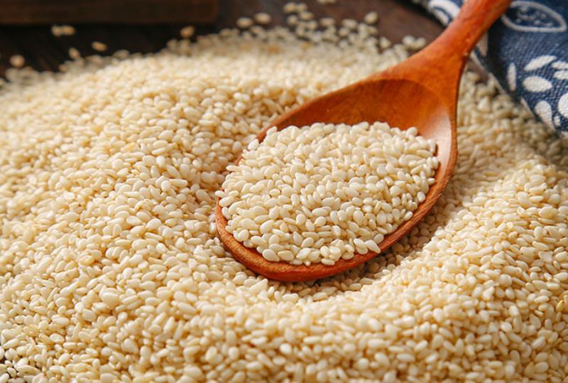 最近芝麻价格 东北地区白芝麻行情 哪里有低价品相好的白芝麻粒