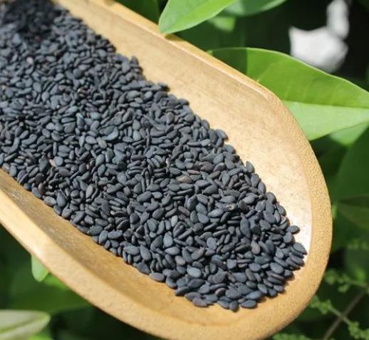 汤圆黑芝麻 散称芝麻粒 农家出售当年新芝麻 大粒黑芝麻