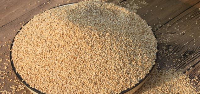 烘烤原料白芝麻 糯米糍撒料芝麻粒 传统点心点缀芝麻