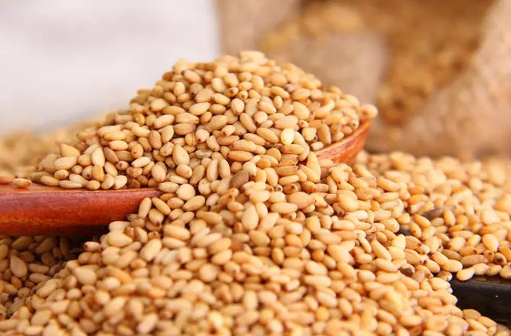 不苦微甜免洗白芝麻 厨房日常调味料 埃塞俄比亚进口白芝麻