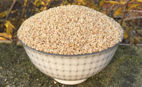 冰粉佐料芝麻粒 摆摊开店专用白芝麻 新鲜干净 可直接食用