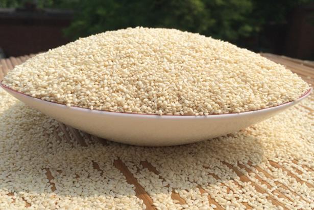 商业原料批发 现炒香芝麻 纯绿色食品 营养健康无添加