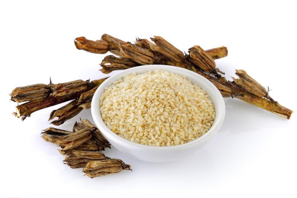 熟白芝麻粒 现炒白芝麻 大袋装生熟白芝麻 厂家发货