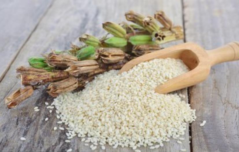 高蛋白调味白芝麻 拌饭拌面芝麻粒 特色小吃蘸料芝麻