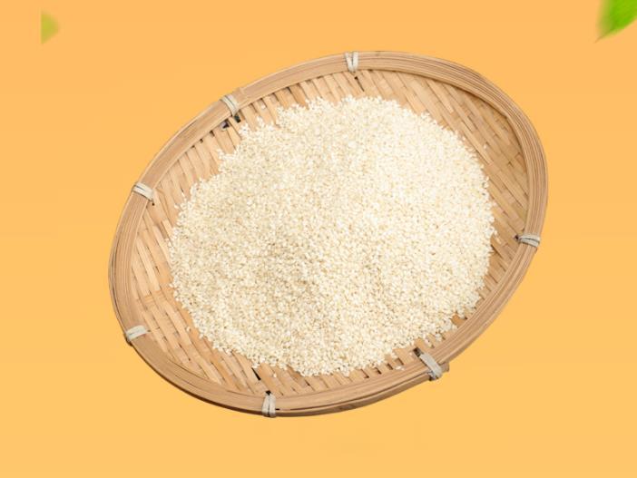 淄博烧烤节专用蘸料 锦州户外烧烤配料芝麻