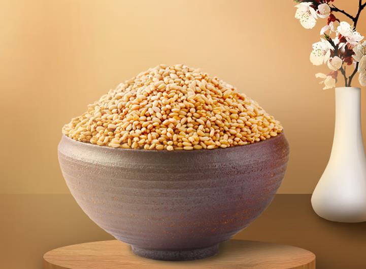 淄博烧烤节专用蘸料 锦州户外烧烤配料芝麻