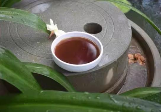 传统小榨 口味地道醇香 清香不腻 品质一级芝麻油