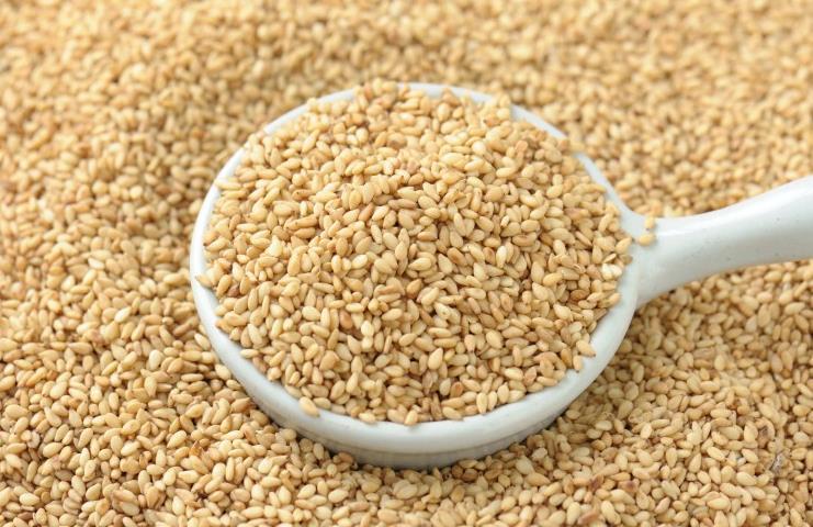 哪里买到的白芝麻最好吃 沈阳地区销售白芝麻粒的厂子