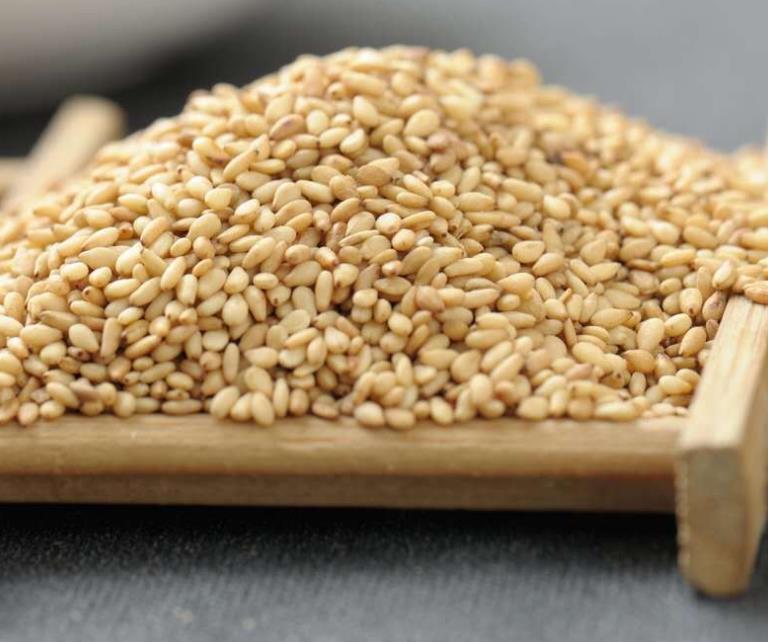 榨油芝麻 膳食首选白芝麻 不苦甜香芝麻粒 现货现卖