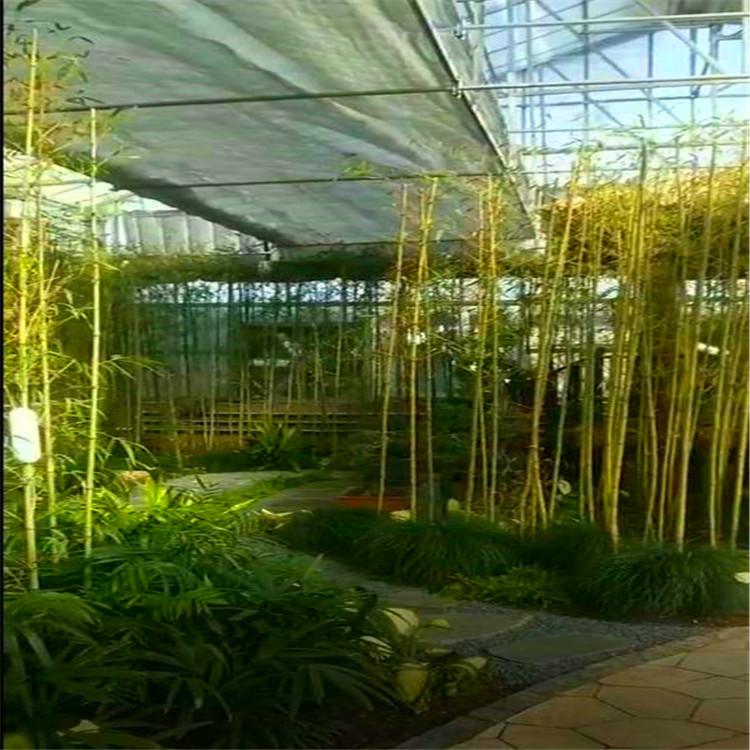 辽宁沈阳温室大棚施工-佳泽保温-连栋温室大棚设计施工 品质保证