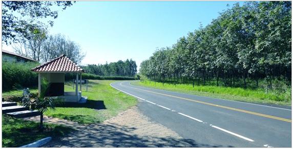 彩色沥青 彩色沥青混凝土 彩色沥青路面 彩色沥青道路 彩色沥青施工 彩色沥青价格