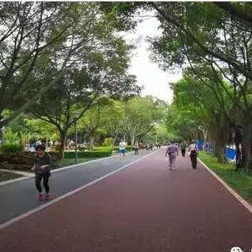 彩色沥青 彩色沥青混凝土 彩色沥青路面 彩色沥青道路 彩色沥青施工 彩色沥青价格