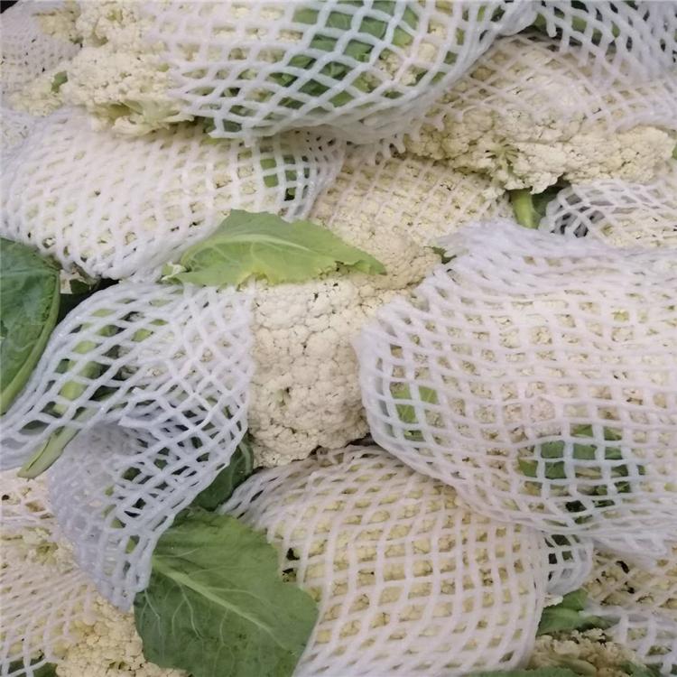 绿汇 和平区蔬菜生鲜食材配送公司 食堂蔬菜配送 大白菜批发 菜花配送 大头菜批发 黄瓜配送