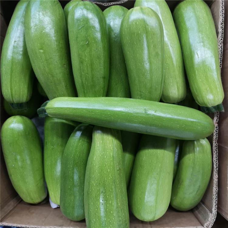 沈阳蔬菜配送中心 饭堂蔬菜配送公司 饭堂蔬菜配送中心 绿汇