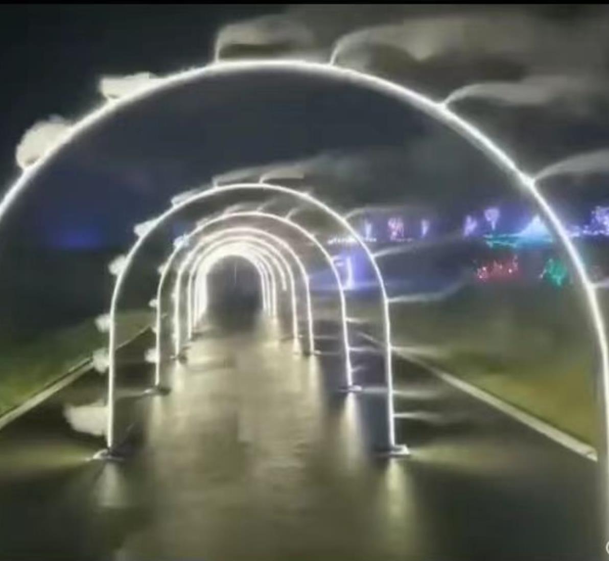 大连户外LED造型灯互动生命t之树亮化中式装饰灯公园节日梦幻灯光文旅  鲁艺雕塑 