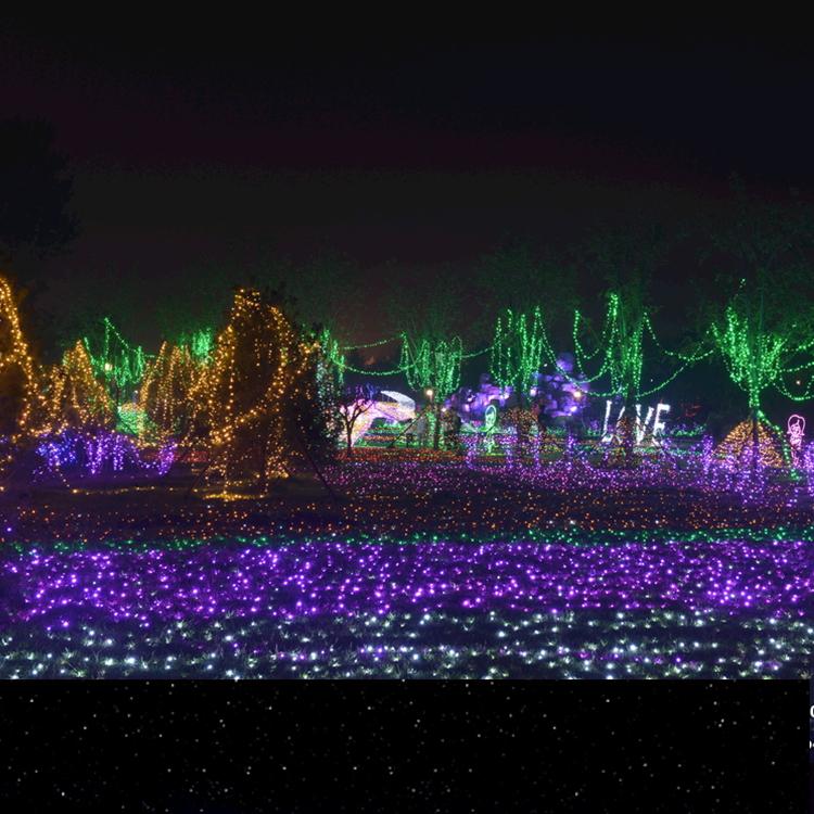 大型户外春节元宵节花灯美陈灯会灯展花灯彩灯造型定制