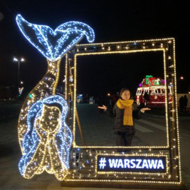 户外广场大型仿真PVC圣诞树10米大型led灯光圣诞树亚克力圣诞树哈尔滨