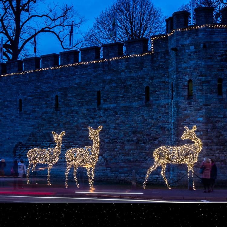 定制软管柔性霓虹灯发光字门头灯带LED招牌广告户外防水LOGO设计长春