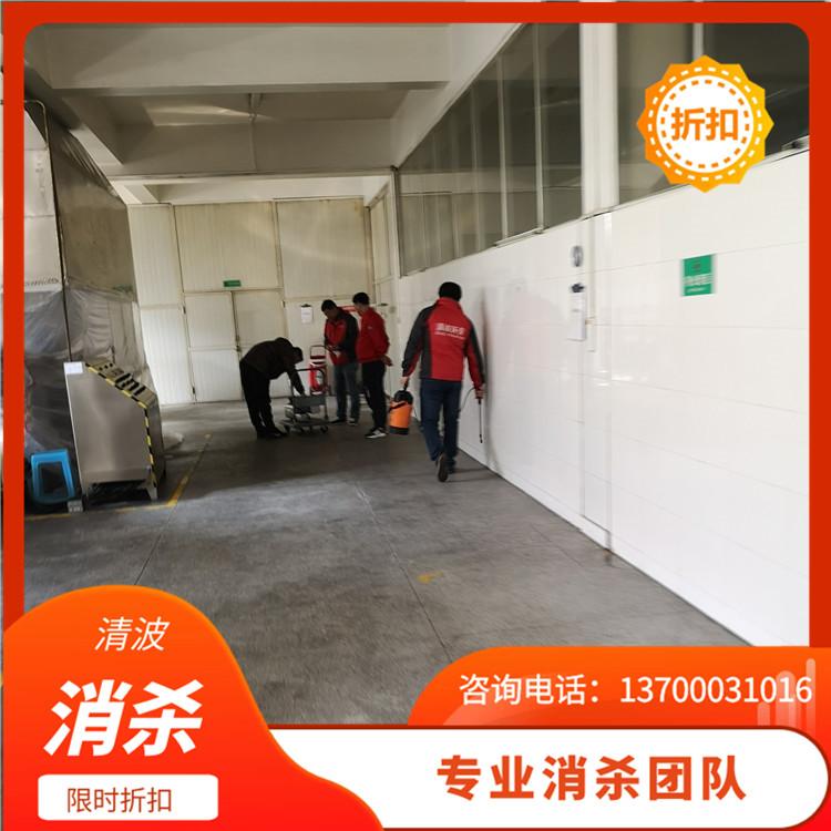 上门灭臭虫 家庭除鼠 公司 家庭 餐厅灭鼠服务