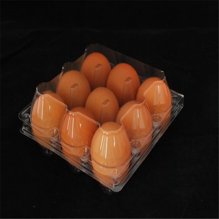 辽宁塑料包装 4/6/9/12/24枚鸡蛋托  透明包装盒加厚防摔 精选厂家选容天吸塑 直销价格     