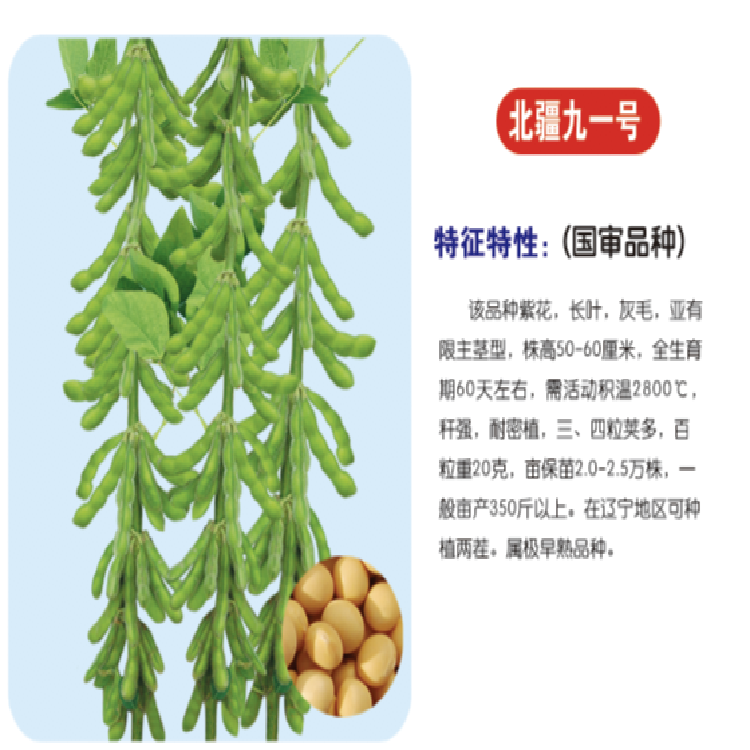 大豆种子 农田菜园鲜食黄豆种子 颗粒饱满产量高