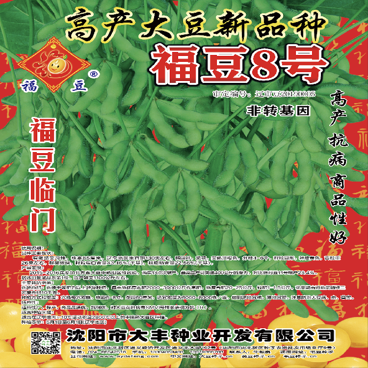 批量供应优质黄豆种子 产量高品种纯 新品种更耐活