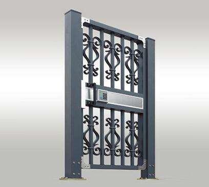 专业生产锌钢护栏 锌钢大门 锌钢铝花大门