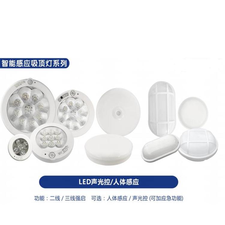 沈阳led声光控人体感应筒灯 声控灯厂家 楼道声控吸顶灯 