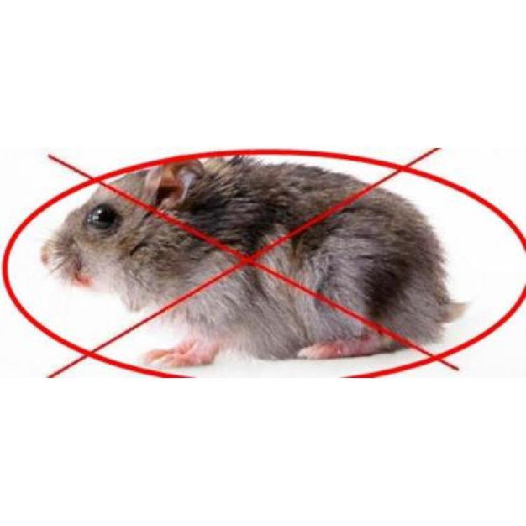 日日欣 灭鼠消杀公司 园林消杀服务 专业灭鼠消杀服务 