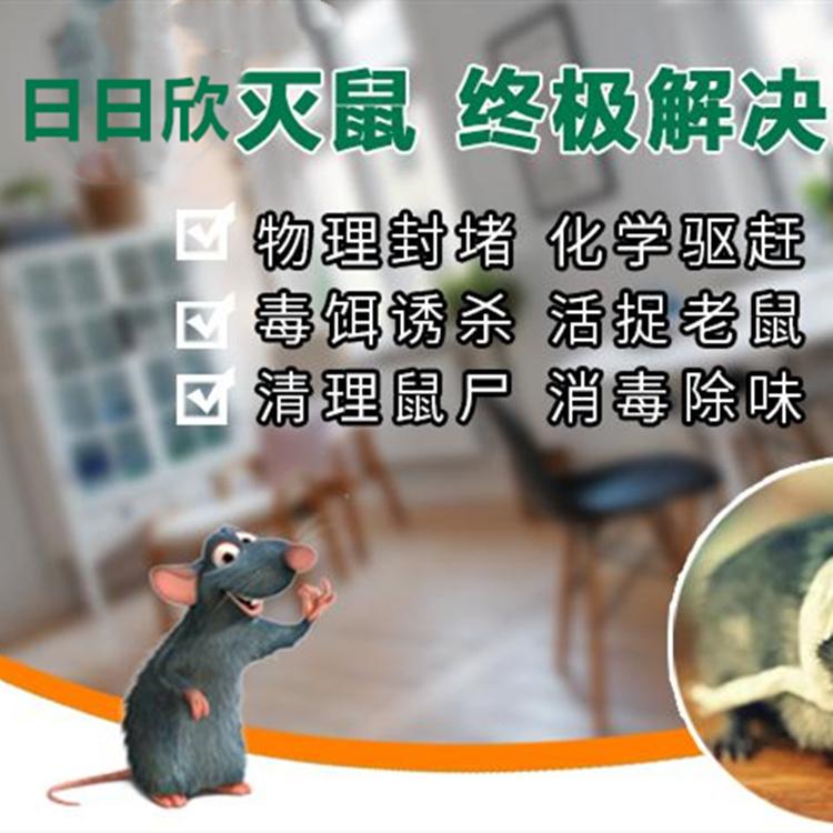 灭鼠消杀公司 消杀服务 宾馆灭鼠消杀服务 专业消杀团队
