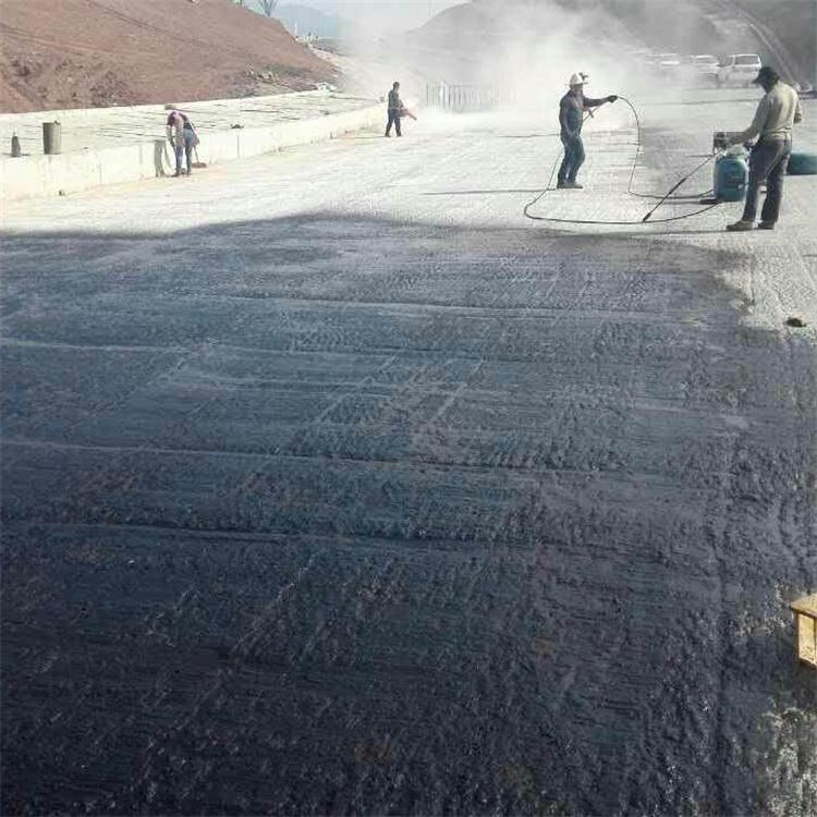 高分子防水工程施工 沈阳天邦 专业团队值得信赖