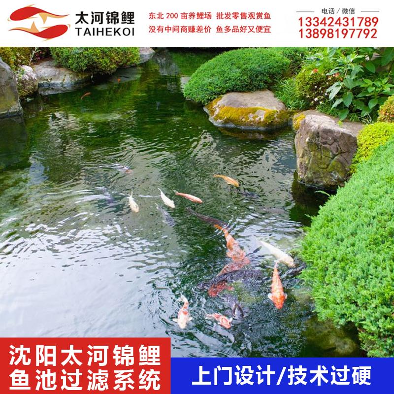 鱼池过滤系统 设计施工 沈阳太河锦鲤场 欢迎咨询