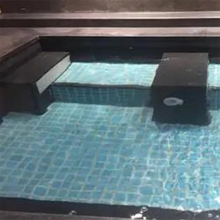 智能水疗机厂家 电气风吕电气浴理疗汤泉水疗设备