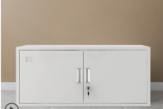 沈阳文件柜铁皮柜档案柜办公室资料柜带锁储物柜收纳柜钢制财务凭证柜