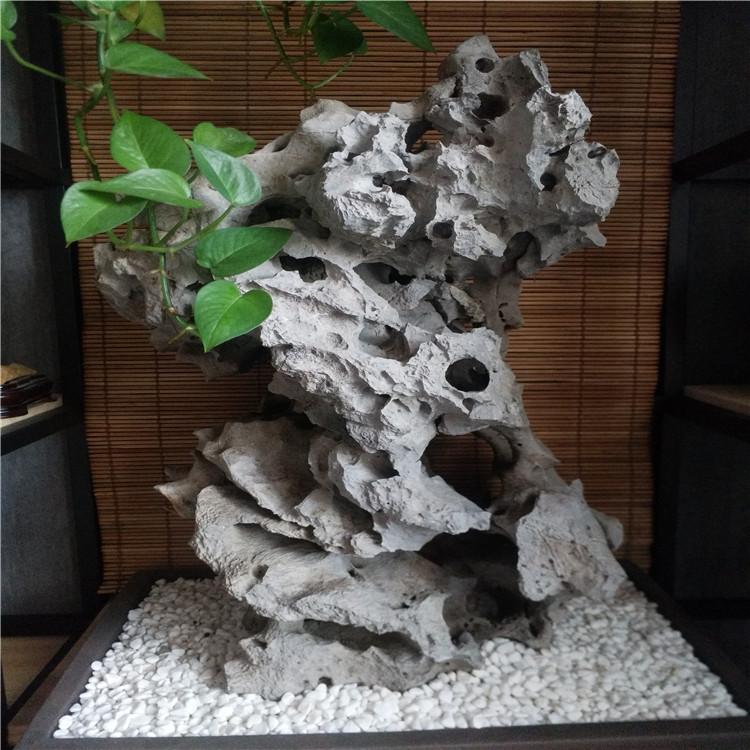 沈阳仿真植物雕塑   假山雕塑定制  新卓雕塑  假山假水雕塑定制厂家