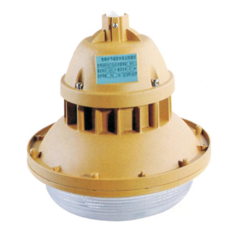 广照型无极灯 防爆免维护电磁感应灯 低频无极灯三防灯