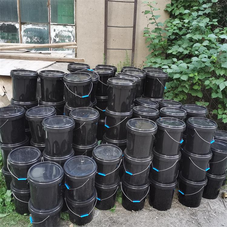 沈阳乳化沥青 改性乳化沥青防水涂料 厂家直供价格优惠